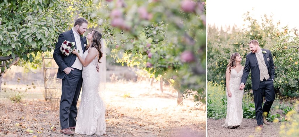 Bride and groom kiss and walk through the apple orchard at The Orchard in Watsonville, CA.