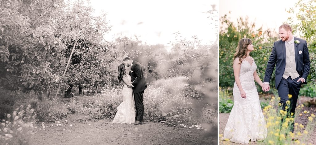 Black and white photo of bride and groom kissing and walking in the apple orchard at The Orchard in Watsonville, CA.