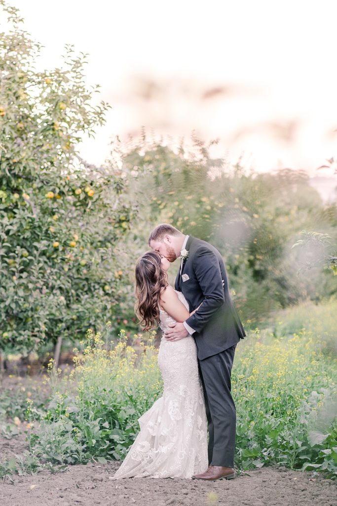 Bride and groom kiss in the apple orchard at The Orchard in Watsonville, CA. Shot by Amber Rivas Photography.