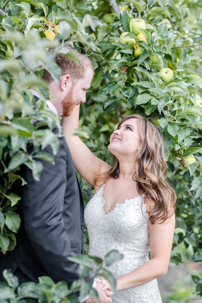 Bride and groom surrounded by apple trees in Watsonville, CA at The Orchard.
