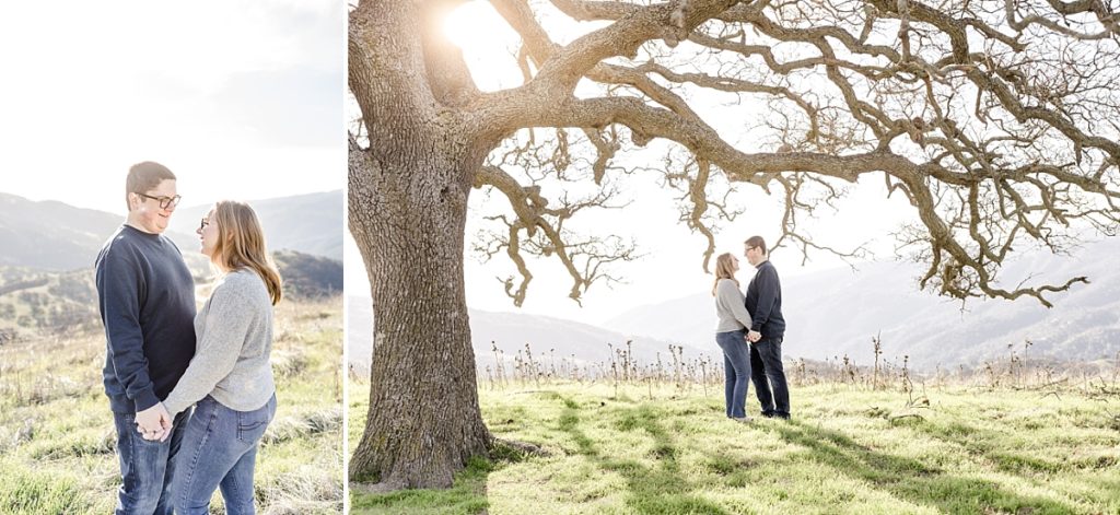 Engaged couple under a tree at Top of the Hill near Del Valle.
