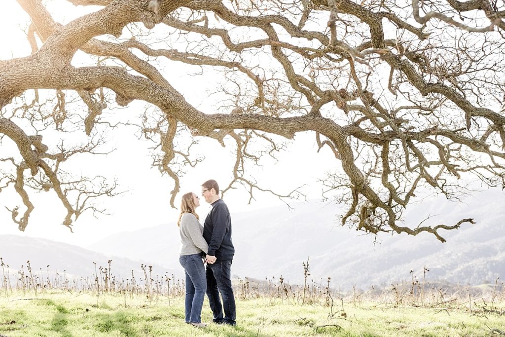 Engaged couple hold hands under a tree at Top of the Hill during Del Valle engagement photo session.