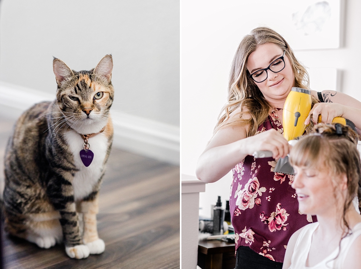 Cat and hair stylist at styled shoot in San Jose.