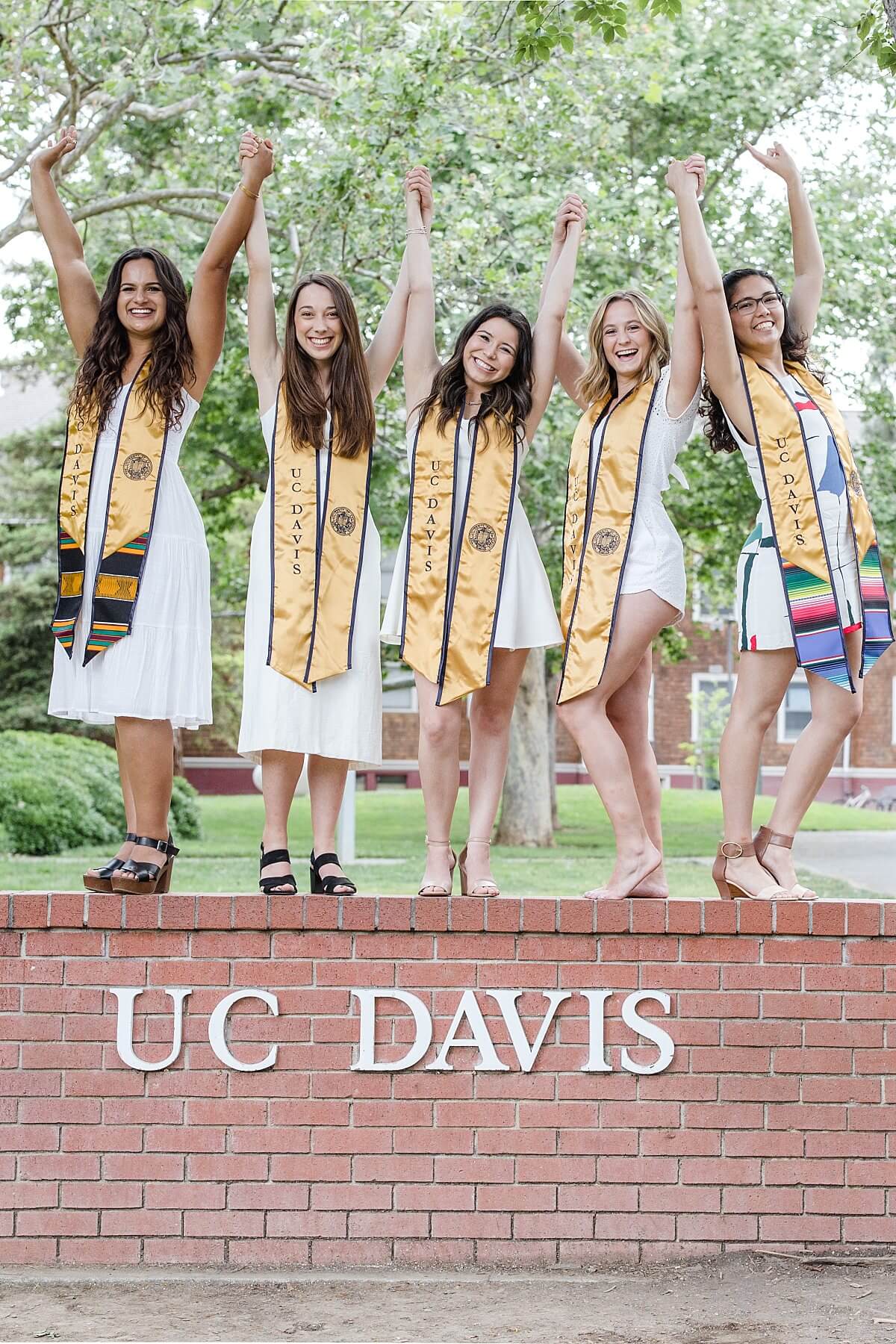 Seniors standing on the UC Davis sign