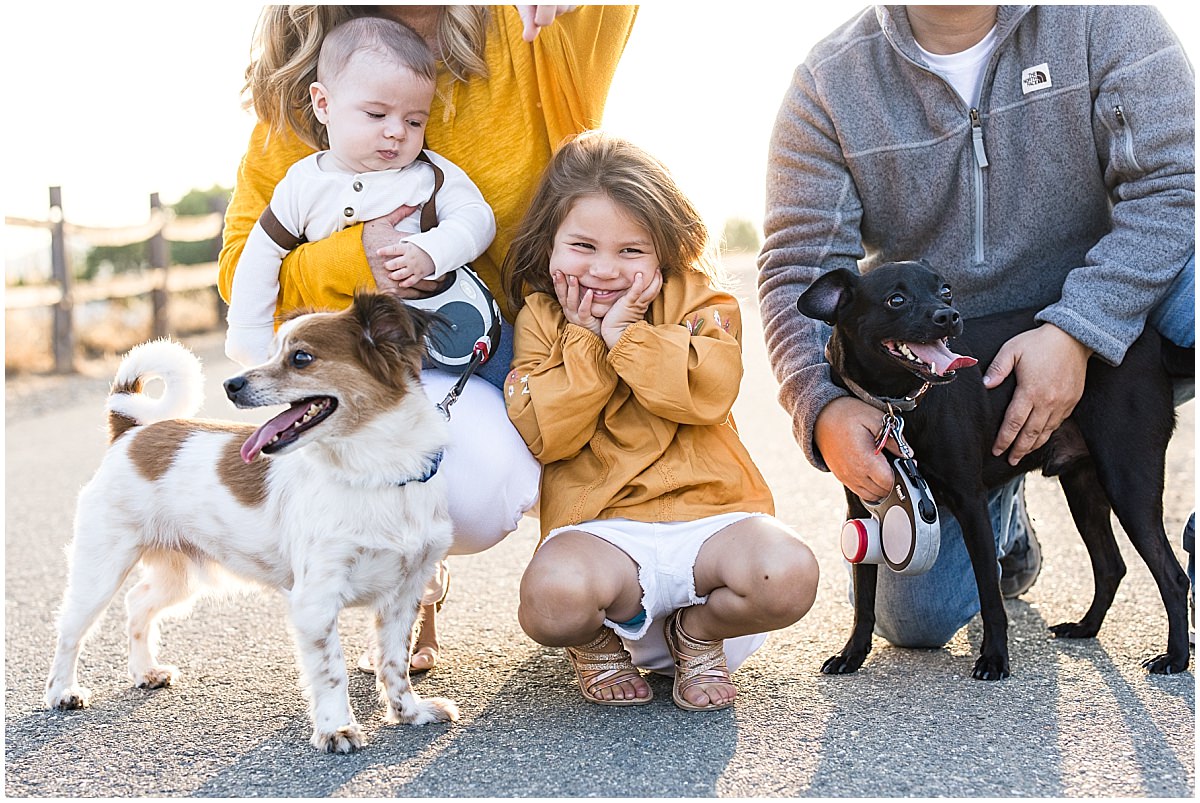 Little girl smiling with her dogs